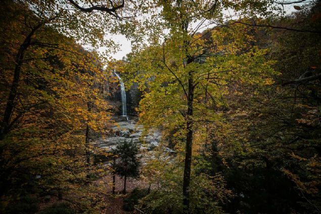 zmir'den gelen Levent Ahmet Bykk ise Suutu elalesi'ni ok beendiini belirtti.      