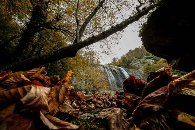 Karadere gzergahndaki irili ufakl 60 elale arasnda yer alan Suutu elalesi, 36 metre ykseklikten dklen suyunun yan sra evresindeki gzelliklerle grenleri adeta bylyor.      