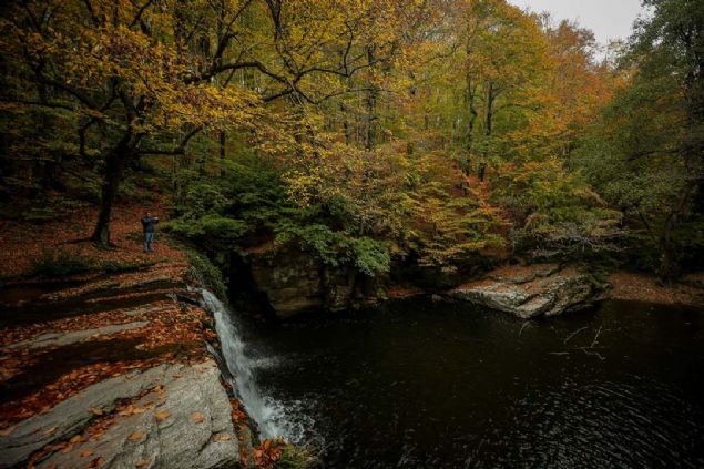 Tarm ve Orman Bakanl Doa Koruma ve Milli Parklar Genel Mdrl Suutu Tabiat Park'ndaki elaleye yerli ve yabanc turistler youn ilgi gsteriyor. Gelin ve damatlar da fotoraf ekimleri iin blgeyi tercih ediyor.     