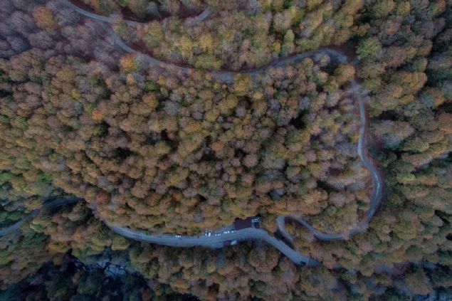 Doal yry yollar ve alabalk tesisi de bulunan elalenin olduu blge, evresini saran kayn aalaryla 'temiz hava deposu' olarak biliniyor.      