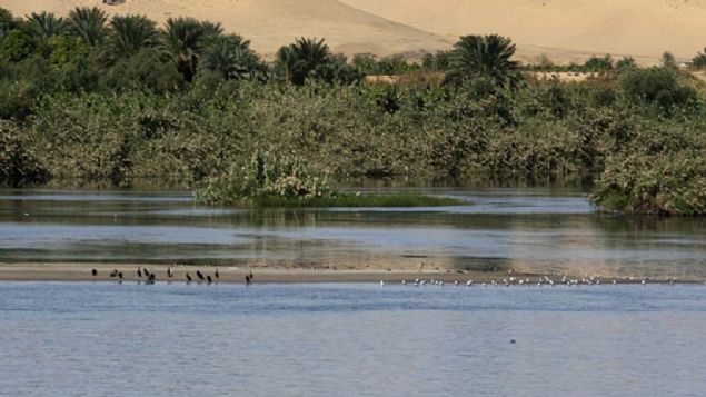 LiveScience'n haberine gre, sonular 'Nature Geoscience' dergisinde yaymlanan aratrma erevesinde Nil ile ayn zamanda olutuu dnlen Etiyopya ykseltilerinde yer alan platoda eski zamanlardan kalma volkanik kaya rnekleri ile nehrin Msr'n kuzeyinden Akdeniz'e dkld blge Nil Deltas'ndan alnan tortullar incelendi.    