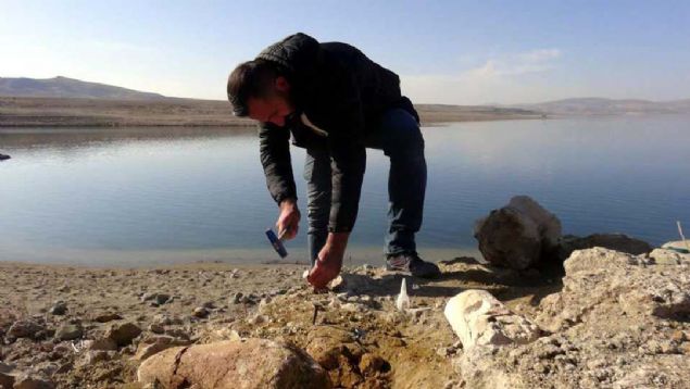 Tabii biz bu fosilleri bulana kadar g�ne�ten, havadan ve sudan etkilenmi�. G�zel ama k�r�k olmalar� nedeniyle par�al� �rnekler. O nedenle hemen m�dahale edip, laboratuvar ortam�na ta��d�k.     