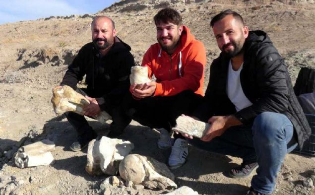 Bu fosil tek bir adet file ait gibi g�r�n�yor. ��nk� ayak, kol ve di�lerinden birer tane �rnek bulduk. Bu fosiller 7,5 milyon y�ll�k' diye konu�tu.     <br><br>  (DHA)  