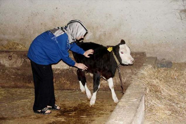 �Y� B�R GEL�R ETT�   <br><br>  Zamanla �r�nlerin �e�idini art�rarak tereya��, peynir, re�el, eri�te, tarhana, sal�a ve tur�u da �reten �zbek, �r�nlerin ticaretinden iyi bir gelir elde etti.    