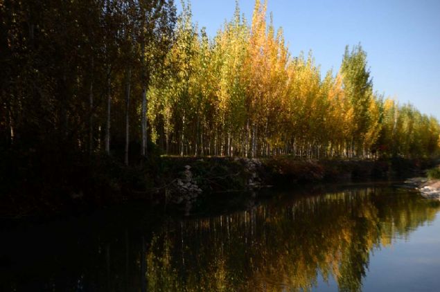 Farkl� dil ve dinlere mensup insanlar�n y�zy�llarca bir arada ya�ad���; aralar�nda manast�r, kilise, cami ve k�pr�n�n de yer ald��� 40'� a�k�n tarihi yap�ya sahip Savur, kavak a�a�lar�n�n farkl� renk tonlar�ndaki yapraklar�yla ziyaret�ilerine sonbahar�n g�zelli�ini ya�at�yor. 