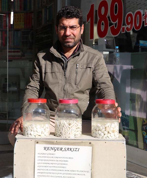 Tane ile satlyor  <br><br>  Kenger sakznn ene sal ve yz felci bata olmak zeri insan bedenine nemli katklar olduunu belirten Gler,   <br><br>  Kenger sakznn kilogram fiyatnn 800 lira civarnda olduu iin tane ile satldn belirterek, 