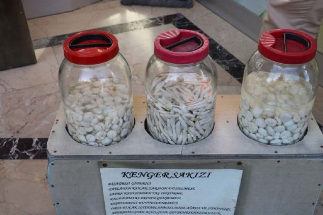 Sivas'ta kenger sat yapan esnaflardan brahim Gler, kenger sakzna yurt iinden ve yurt dndan ok sayda vatandan talepte bulunduunu belirterek sakzn kendi suyu ile bir yl muhafaza edebildiklerini syledi.  <br><br>  Gler, 'Kenger sakz genelde Malatya'nn Darende ilesinde ve Grn ilesinde bulunan bir bitkidir. Yaz aylarnda insanlar kylerde kenger sakz toplamak ile megul olur.   