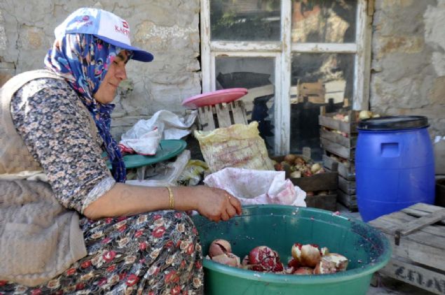 'Dalnda yarlm olan narlarmz satlmyor. Bu nedenle eki ve dalnda yarlm olan narlarmz toplayarak telef olmamalar iin tanelerinden ayrrz.<br><br>  Kabuundan ayrdmz narlarmz uvallara katarak rana dediimiz ta teknelerdeiniyoruz. Daha sonra ayn pekmez gibi kaynatyoruz. Olduka zahmetli bir i. Narn suyunu karabilen herkes kolaylkla kaynatp, nar ekisi yapabilir.'  