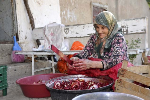 Kadnlardan Havva Aslan da, bahedeki narlarn yaz boyunca sulama ve bakm ilerini yaptktan sonra ekim ve kasm aynda toplamaya baladklarn belirtti. 