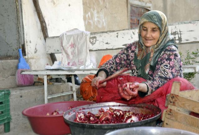 Dalnda atlayan narlarmz ise nar ekisi yaparak deerlendiriyoruz. atlak narlarmz ortadan ikiye ayrarak, zel kesilmi aa sopalarla, narlarn kabuk ksmna vurularak taneleri kabuktan ayrrz. 