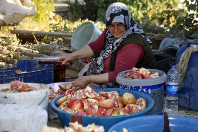 Nar tanelerini daha sonra ister makine ile ister uvallar iinde ineyerek suyunu alrz. Elde edilen nar suyunu kazanlara koyarak odun ateinde kvam gelinceye kadar kaynatrz.   <br><br>  Nar ekisinin kaynatlmas srasnda zerine kan kpkleri bir szek yardmyla toplarz. Nar ekisi kvamn alnca ocaktan indirerek souturuz. Souyan nar ekileri kullanma hazr olur' dedi.   