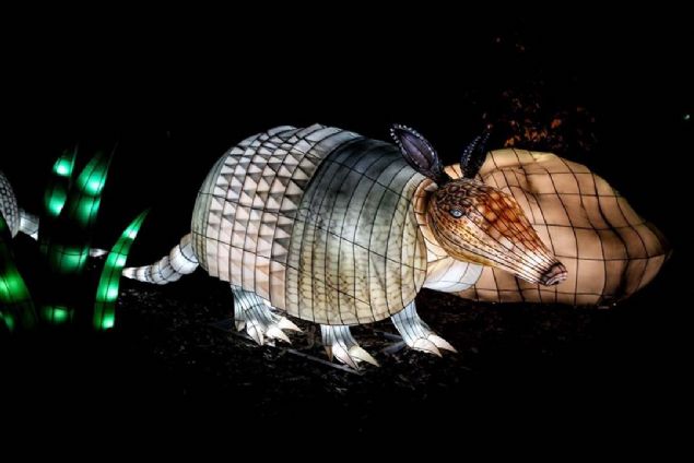 Festivalde, biyolojik eitlilik asndan zengin bir lke olan Kolombiya'da bulunan hayvanlar ve bitkiler ile yaadklar okyanus, ova, bozkr, l, orman ve mangrov gibi ekosistemlerin klandrmalarn ieren 470'den fazla yap sergilendi. Bu yaplar arasnda, Vortex tneli de yer ald. 
