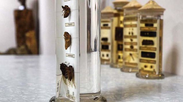 'DNYA ZERNDE YAKLAIK 1 MLYON TANIMLANMI BCEK TR VAR'   <br><br>  Do. Dr. Erdem Hzal, AA muhabirine yapt aklamada, arazide bilimsel alma yaparken izin almann zorunlu olduuna dikkati ekerek, 'Halktan birilerinin bcekleri toplamas kanunen yasaktr ve biyo-kaakla girmektedir.  <br><br>  Bu kaaklk da ar ceza ve yaptrmlar olan bir ciddi sutur.' diye konutu.   