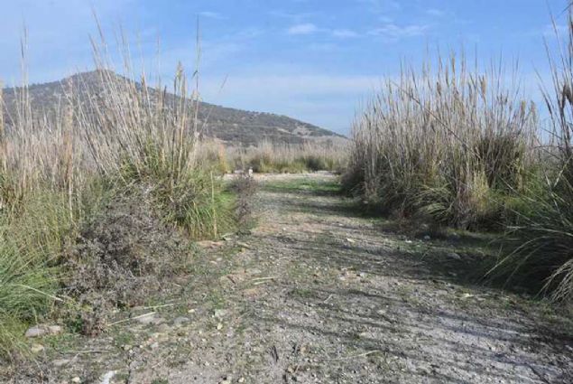 'YILDA 80 BN TON DOMATES RETM HEDEFLENYOR'  <br><br>  Proje ortaklarndan Bergama Ticaret Odas Bakan Fikret rper, konuyla ilgili unlar syledi:   