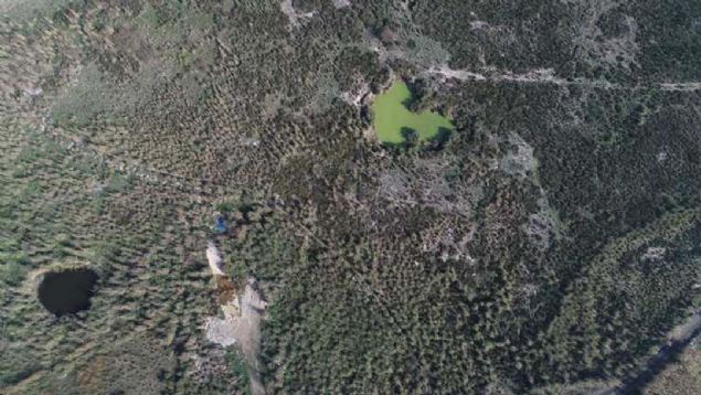 zmir'in turizm asndan nemli merkezlerinden Dikili ilesi, tarmsal alanda da kritik bir neme sahip olacak.    