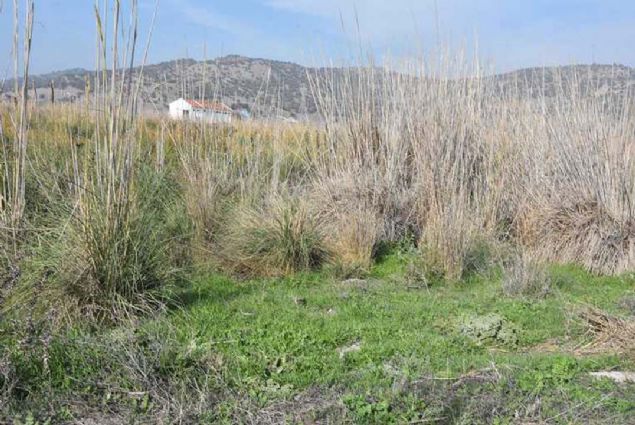 'FRMALARIN REKABET GCN ARTIRACAK'  <br><br>  Bu blgede jeotermal s ile retimin yaplacan belirten rper, 'Jeotermal s yenilenebilir bir enerji olarak evreye zarar vermez. Sonsuz bir enerji kaynadr.  <br><br>  Bu enerji kayna ile iletmelerin yurt d pazarnda daha rekabeti olmas salanacak.  <br><br>  Girdi maliyetlerini aa ekecek bir yntem aslnda. Blgede ok dikkatli ve evreye zarar vermeden bir yatrm yaplacak.   <br><br>  Firmalar, rnleri yurt dndaki pazarlardan gelecek talebe gre eitlendirebilecek.' dedi.  