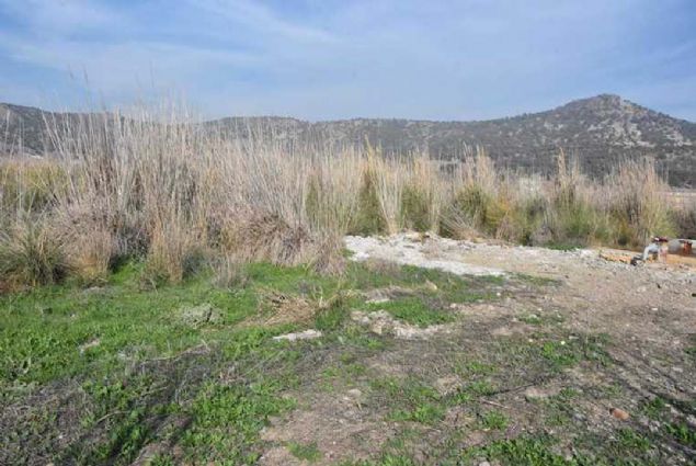 'zmir'deki i dnyas, sivil toplum kurulular olarak ortak aklla atlan admlarn bir bir hayata geecek olmas adna sevindirici bir gelime.   <br><br>  lkemizin 2023 ylnda 150 milyar dolar tarmsal retim, 40 milyar dolar tarmsal ihracat hedefi dorultusunda bu yatrmn byk pay olaca kansndaym.   <br><br>  Tarma dayal ihtisas organize sanayi blgelerinden ilki olan Dikili Sera htisas OSB'de artk faaliyet aamasna getik.  