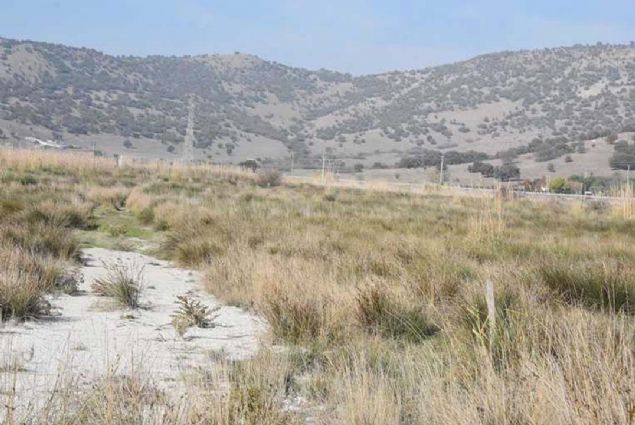 'Burada 3 bin dnmlk bir arazi zerinde 2 bin dnmde sera faaliyeti yaplacak. 2 bin dnmlk sera faaliyetinin alt yap ve st yap yatrm tutar yaklak 1 milyar TL.   <br><br>  Ylda 80 bin ton domates retimi ngrlyor. Bylece 150 milyon dolara yaklaan bir girdi salanacak. retilen rnlerin birou ihra edilecek.'  