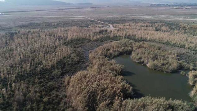 Scak su kaynaklarnn bulunduu alann 2 bin metrekarelik blmnde jeotermal stma ile seraclk yaplacak.  <br><br>  Blgede, seralarda retilecek ya sebze ve meyvenin ilenmesi, depolanmas gibi endstriyel faaliyetlerin gerekletirilmesi iin tesisler de kurulacak.   <br><br>  Projenin tamamlanmasnn ardndan Dikili, rt alt ya ve sebze retiminde, Trkiye'nin en byk modern seraclk merkezi olacak.    