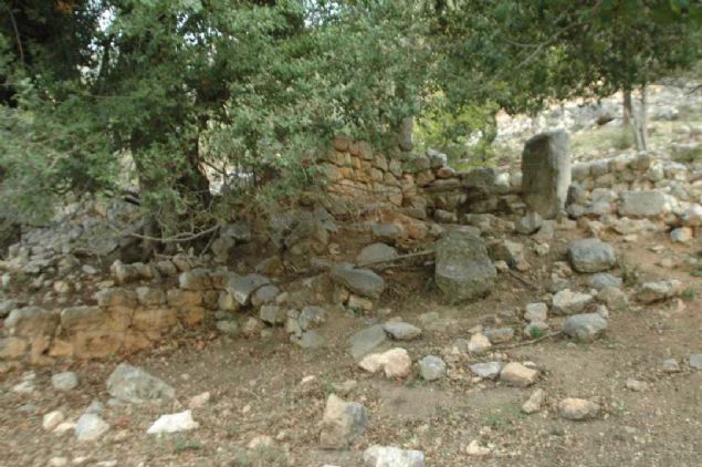 Ke�ilerimi otlat�rken tesad�fen bu mozaik kal�nt�lar�na rastlad�m, san�r�m buras� kilisenin temeli. E�er temizlenirse, daha belirgin ortaya ��kacak.' dedi.   