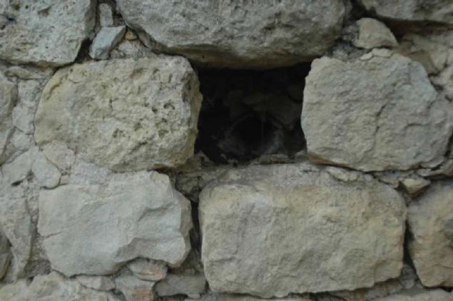 Demir, 'Buras� �nceden beri kilise yeri olarak biliniyor ancak mahallelimiz �oban� ke�ilerini otlat�rken, bu mozaikleri bulmu�. Y�k�lm�� ve harap durumda olan bu alan�n temizlenip, turizme kazand�r�lmas� laz�m.    