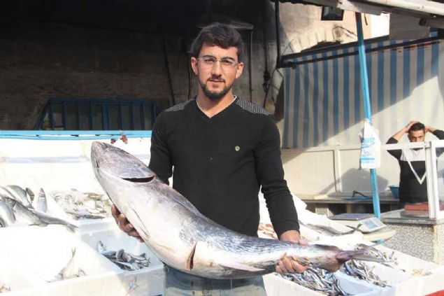 'DAHA NCE TELEVZYONDA GRMTK'  <br><br>  Ton baln ilk defa gren Hseyin Tiryakiolu, 'Yoldan geerken dikkatimi ekti baktm. Gzel grnyor almay dnyorum. Daha nce televizyonda grmtm. imdi de ilk kez burada grdm' dedi.    