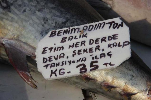 Vatandalarn youn bir ilgisi var. Vatandalar bu balktan yedikten sonra ton baln aryor' ifadelerini kuland.      