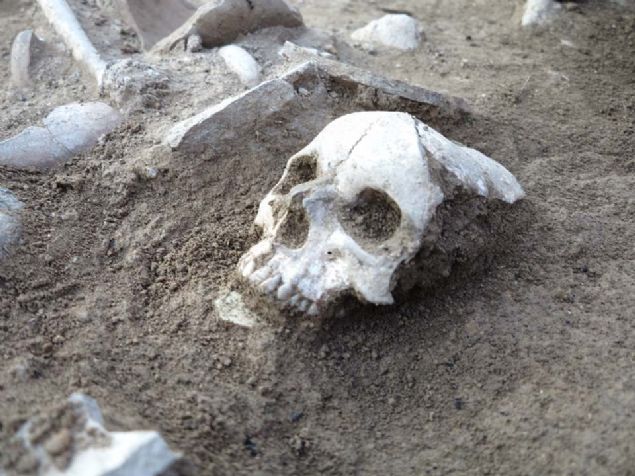 Kaz ekibi ve Hitit niversitesi Antropoloji Blm retim yeleri tarafndan yaplan n almalar sonucunda kafatasnn gen bir kadna ait olduu tespit edilirken, antik DNA almasyla birlikte de Hititler'e ait olduu dnlen iskeletin genetiksel anlamda akrabalk ilikilerinin ortaya kartlmas planlanyor.         