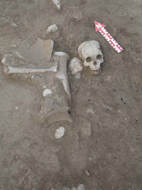 Bizi ok heyecanlandran bu keifle birlikte bilim dnyasndaki soru iaretlerinin kaldrlabileceini dnyoruz. Bizim iin nadide bir buluntu' diye konutu.     