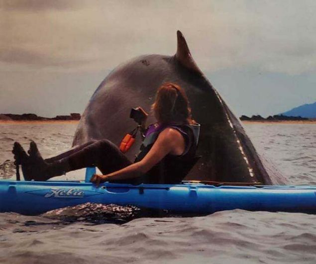 Sosyal medya kullan�c�lar� taraf�ndan en �ok be�enilen ve payla��lan foto�raflar� sizler i�in derledik...  