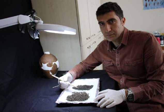 Kltr ve Turizm Bakanl Kltr Varlklar Mzeler Genel Mdrl koordinesinde Elaz Mze Mdr Ziya Kln bakanlnda Frat niversitesi Arkeoloji Blm Bakan Dr.retim yesi Abdulkadir zdemir'in bilimsel danmanlnda Nisan aynda Bingl'n Solhan ilesi Murat kynde, Nisan aynda balatlan kaz almalar tamamland.    