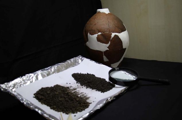 'Hububat kalntlar 4500 yllk'  <br><br>  Bulunan buday taneleri ile ilgili detayl bilgi de veren zmedir, 'Bylelikle gnmze en yakn olan Bizans Dnemine (MS,9-10 yz yla), Orta Demir Urartu Krall Dnemi'ne (M 8-7 yzyl) ve en eskisi Erken Tun a'na (M 2500) ait formunu ok iyi korumu bir ekilde gnmze kadar gelmi, en erkeni 4500 yllk hububat kalntlarnn kesin ya tarihlenmesi yaplmtr.   