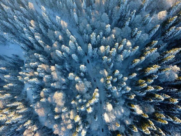 Dzce Safari Off-Road Kulb (DSOF), 12 arazi aracnn katlmyla 'kar safarisi' dzenlendi.  