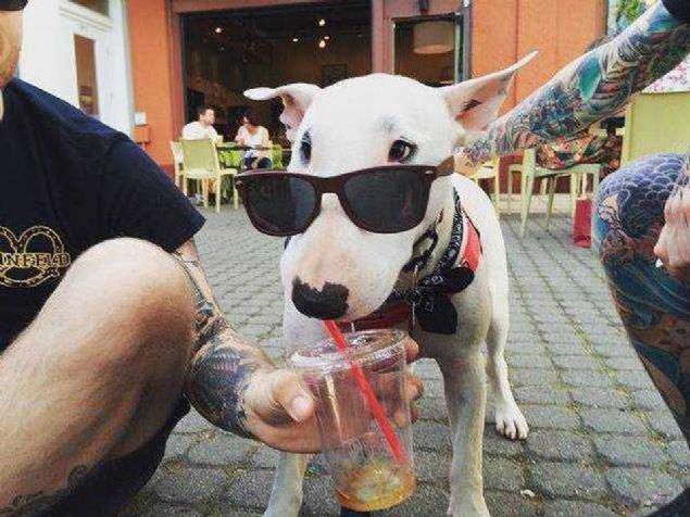 Sosyal medya kullanclar tarafndan en ok beenilen ve paylalan fotoraflar sizler iin derledik...   