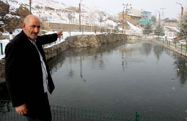 Gldeki balklarn her birinin muhtelif yerleri yank gibidir. Bunun tavadaki kzarklktan ileri geldii sylenir.    
