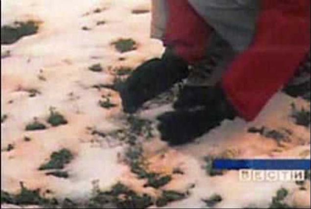 Sibirya'da Farkl Renklerde Yaan Kar  <br><br>  2007 ylnda, Omsk blgesinde, Moskova'nn 2253 km dousunda, portakal gibi kokan sar ve yeil renkli bir kar ya grld.         