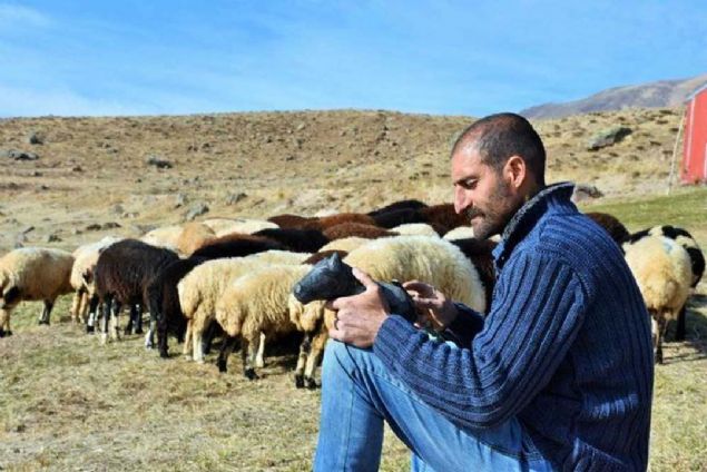 evresindeki genlere aresiz olmadklarn, istediklerini yapabileceklerini gstermeye altn belirten Yaln, 'Bize imkan verilmiyor' cmlesinin arkasna taklmadan, bir aa yaprandan bile ok gzel eylerin retilebileceini anlatmak istediini dile getirdi.   