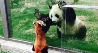 Günün en çok paylaşılan fotoğrafları