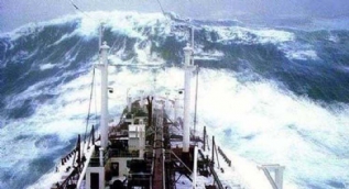 İşte deniz yaşamının en zor anları! Dev dalgalarla ölümcül mücadele