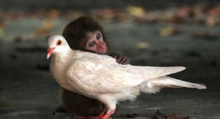 Günün en çok paylaşılan fotoğrafları