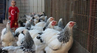 Fabrikadaki işini bıraktı... Şimdi paraya para demiyor