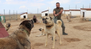 Türk sınırları onlara emanet! Teröristlere geçit vermeyecekler