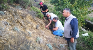Kayalıklarda öyle bir şey buldu ki... 300 milyon yıl önceki gerçeği ortaya çıkardı