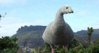 Günün en çok paylaşılan fotoğrafları