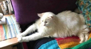 Günün en çok paylaşılan fotoğrafları
