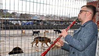 Sokak hayvanlarına bu yöntemle yaklaşıyor