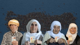 Tarihin canlı tanıkları... Asırlık çınarlar