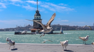 Sokaklarda 'koronavirüs' sessizliği