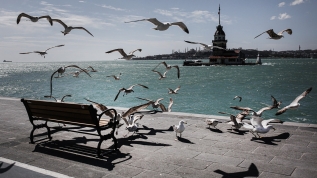 İstanbul'da 'koronavirüs sessizliği'