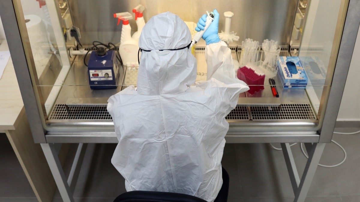 Gnll bilim insanlarnn koronavirs almalar devam ediyor